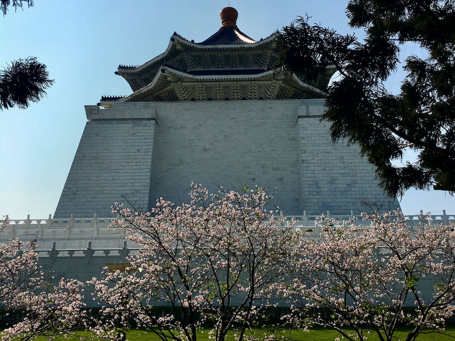Pink cherry blossoms behind Chiang Kai-Shek Memorial Hall in Taipei