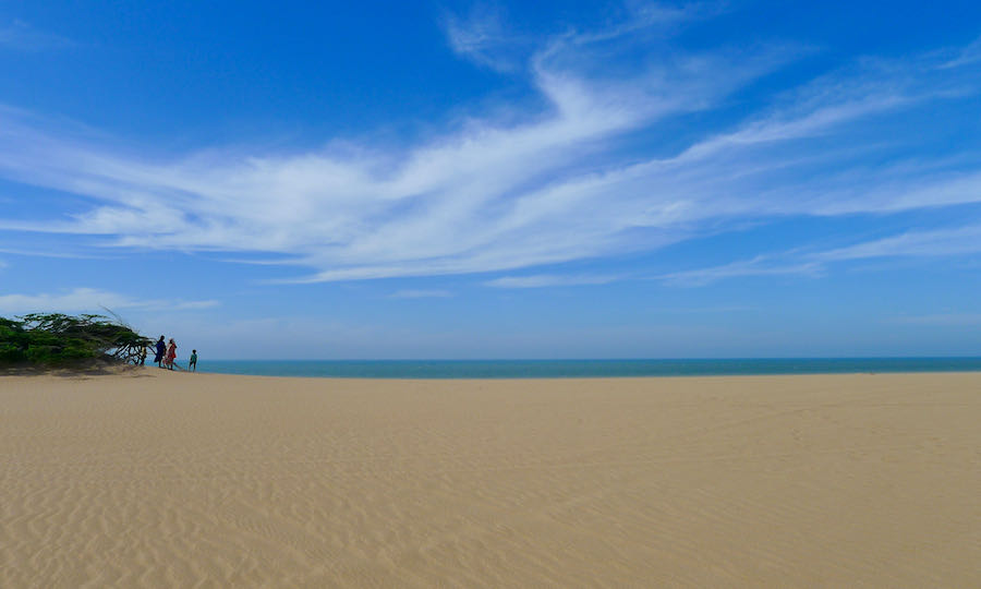 A family stands next to a solitary tree on top of the Taroa Sand Dunes in northern Colombia.