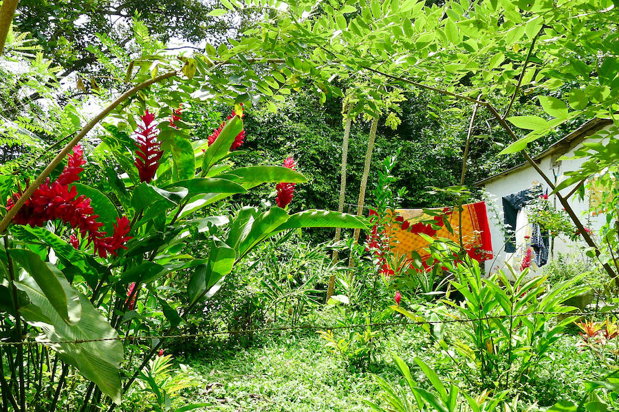 House with laundry and flowers in the jungle near Minca, Colombia