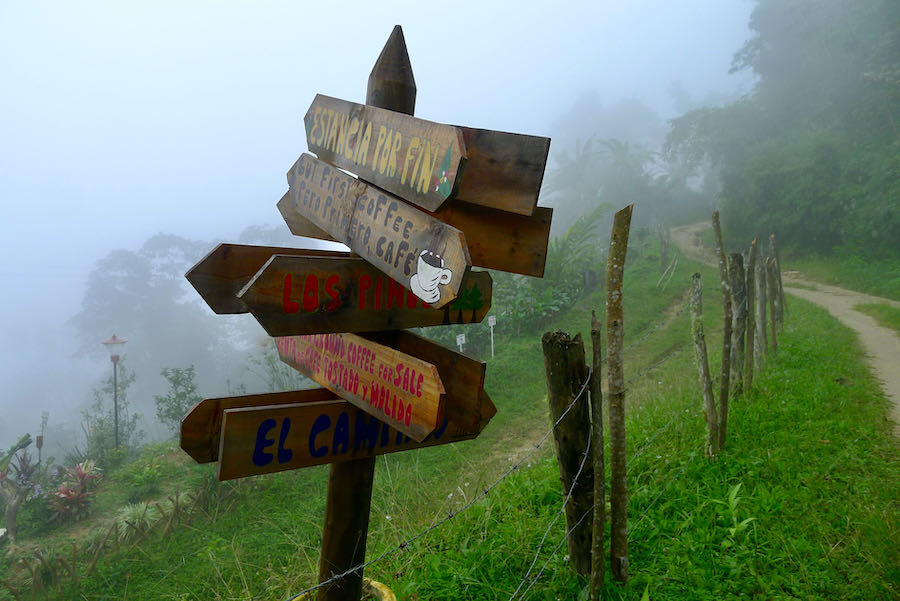 Signs in the mist pointing to coffee fincas and Los Pinos.