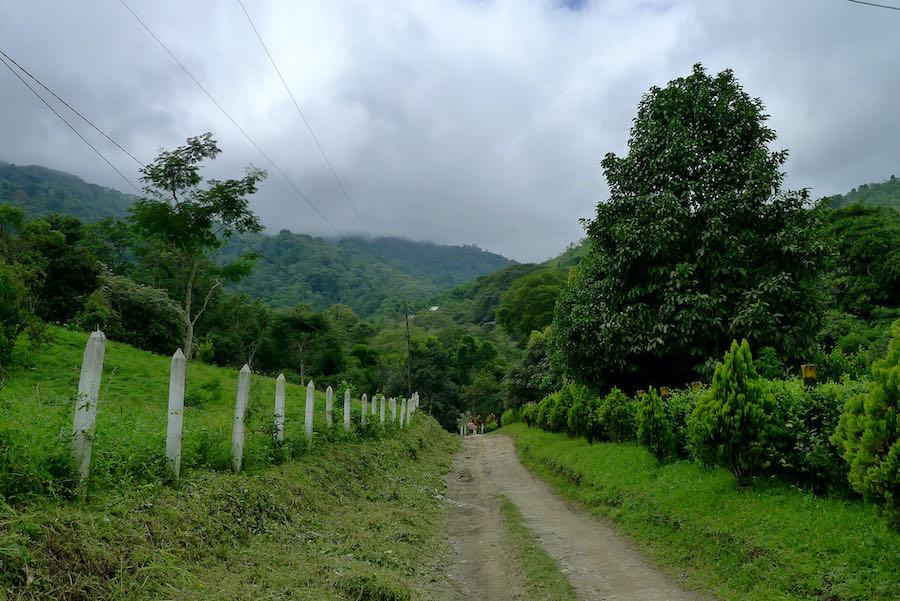 Distant hikers on dirt road leading up to Marinka waterfalls, Casa Elemento, and Los Pinos.