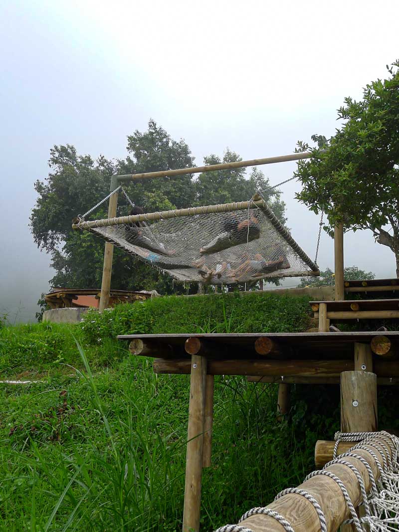 Travelers relaxing in giant hammocks at Sierra Minca hostel.