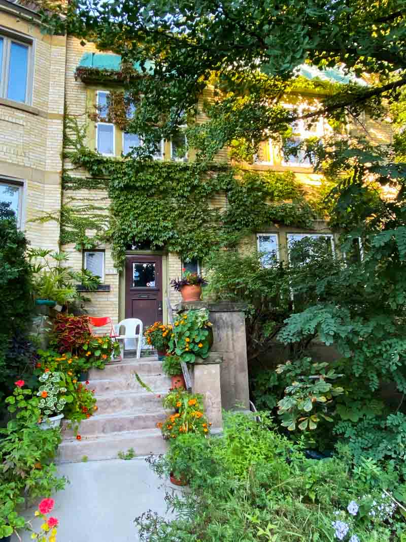 Green ivy and potted flowers on a summery September day, one of the best times to visit Montreal.