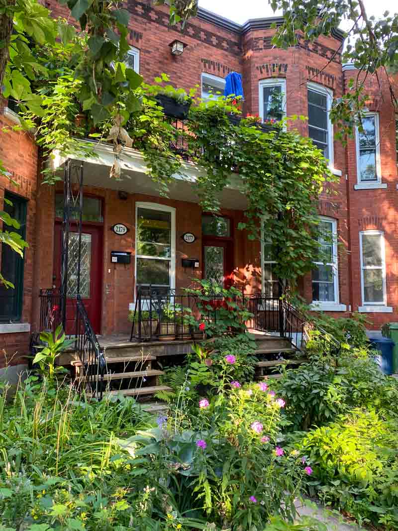 Summer is one of the best times to visit Montreal - but it can be hot! Greenery covers an NDG duplex in July.