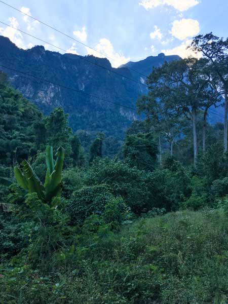 Chiang Dao mountains soaring above the forest.