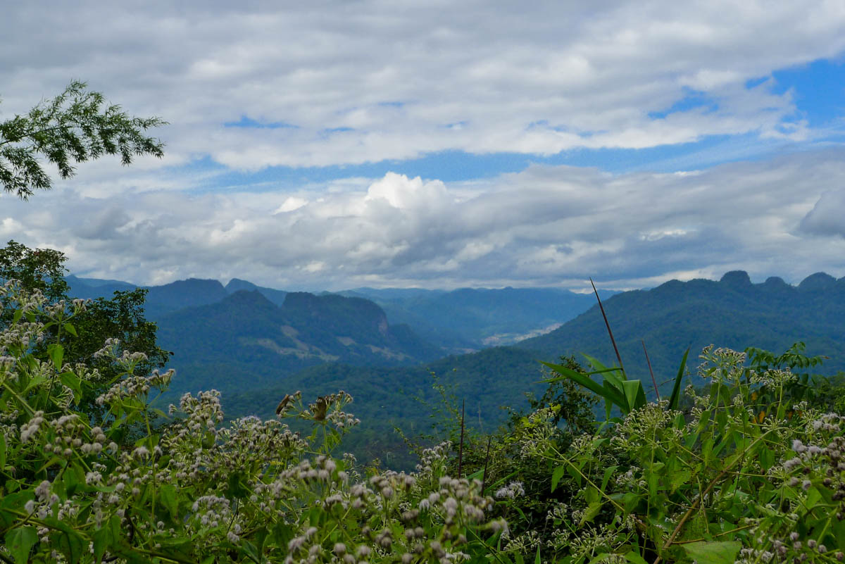 Expansive view of limestone mountains with flowers in the foreground on the Mae Hong Son loop in northern Thailand.