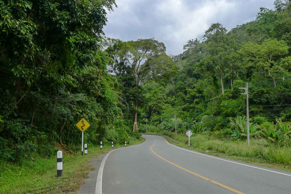 A yellow road sign warns of upcoming curves on a winding road through lush green forest on the Mae Hong Son loop.