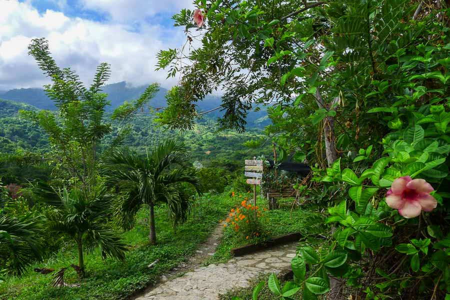 Lush greenery in the mountains of Minca, less than an hour from Santa Marta.