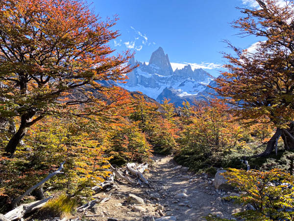 Hiking to Laguna de los Tres in Argentinian Patagonia with an amazing view of Mount Fitz Roy amidst autumn colors.
