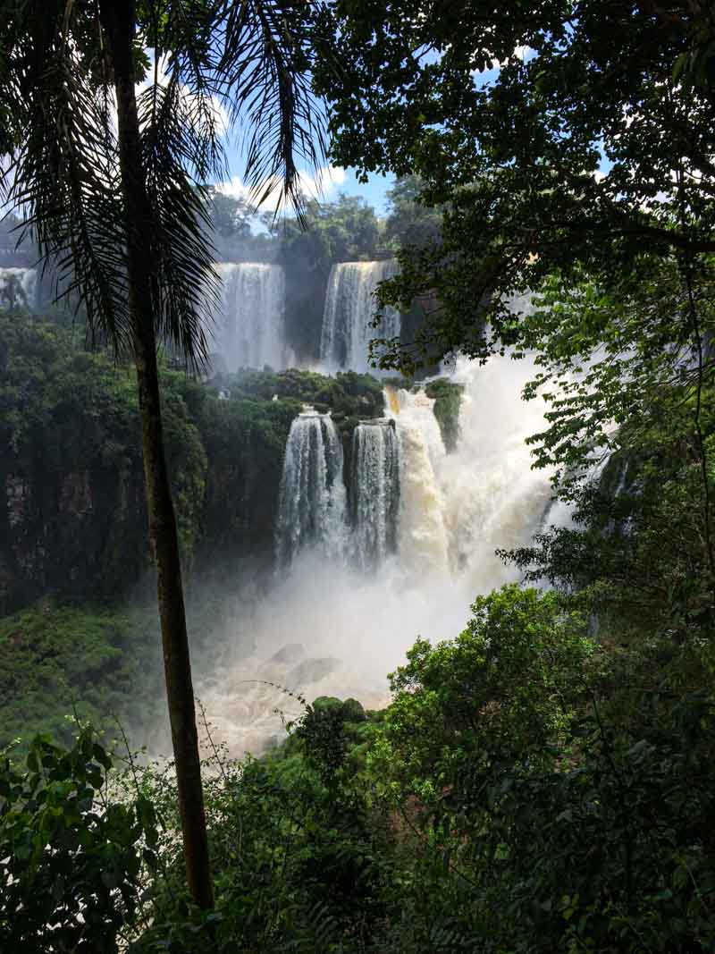 Iguazu Falls (on the Argentinian side) viewed through the trees from a walking path.