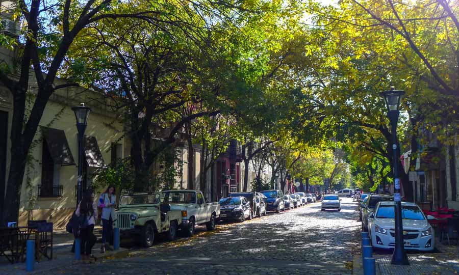 A leafy cobblestone street in the trendy Palermo Soho neighborhood, where I suggest starting the first day of this Buenos Aires itinerary.