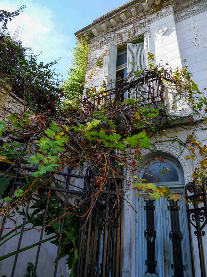 Vines grow over the gate and balcony of a charming old house in the Palermo neighborhood of Buenos Aires.