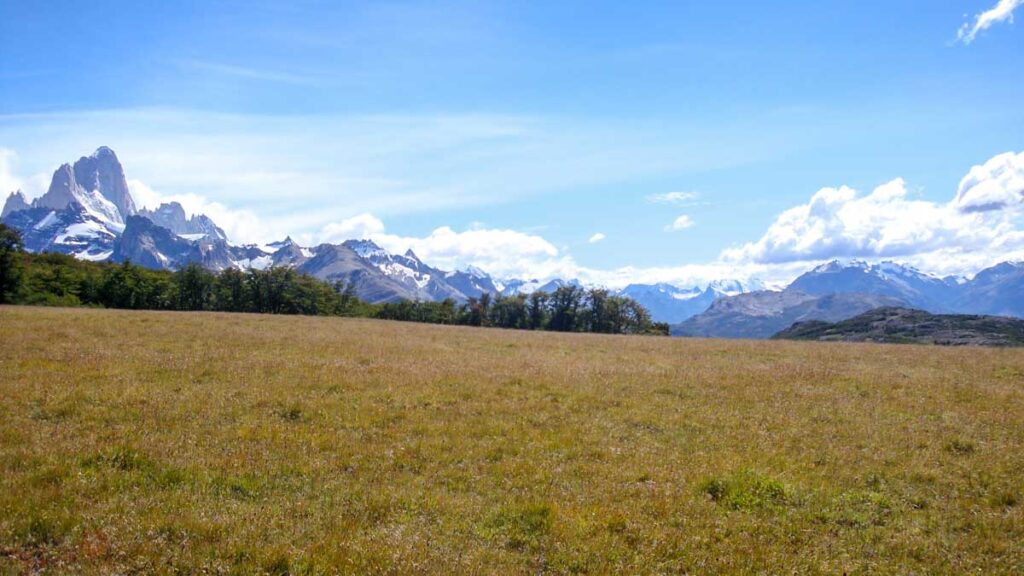 Fitz Roy and other snow-capped mountains peek out over a grassy field on the Loma del Pliegue Tumbado trail, my favorite El Chaltén hike.