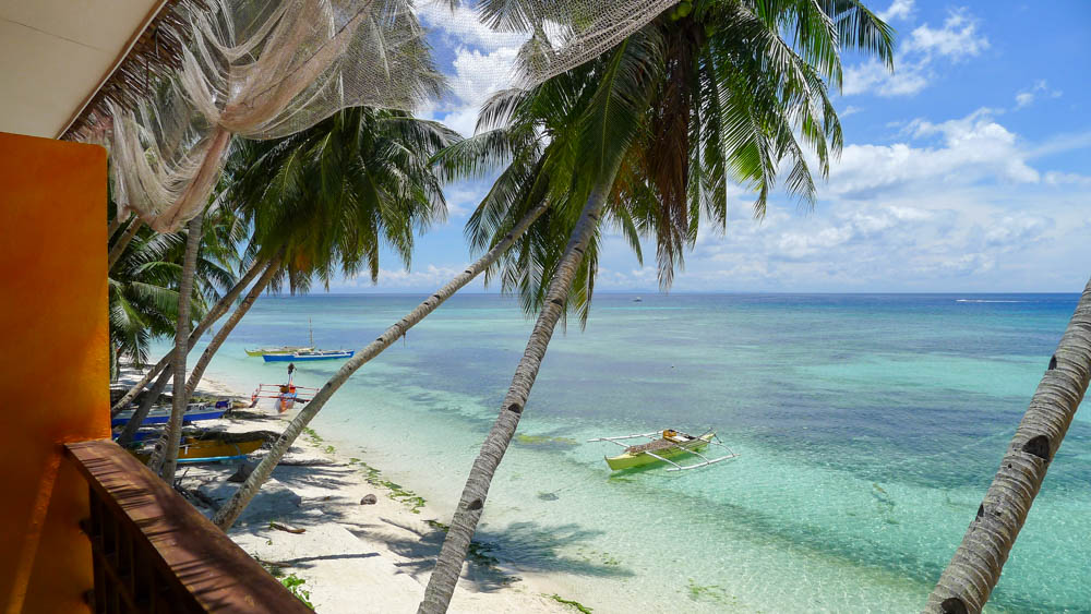 My balcony view of palm trees over blue and turquoise water on Siquijor Island, a few hours by ferry from Bohol.