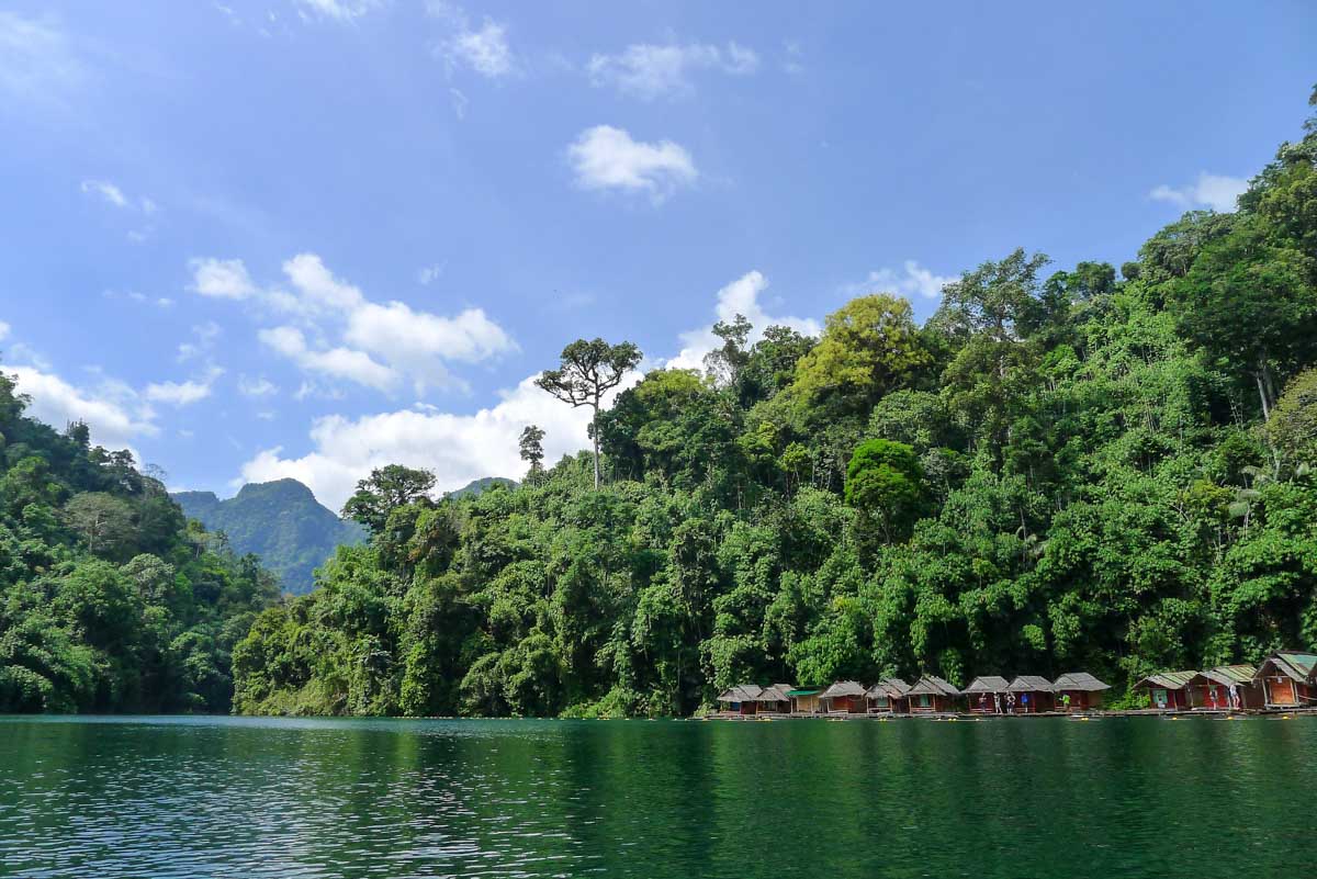 Row of basic, budget-friendly floating bungalows on the lake set against a jungle backdrop.