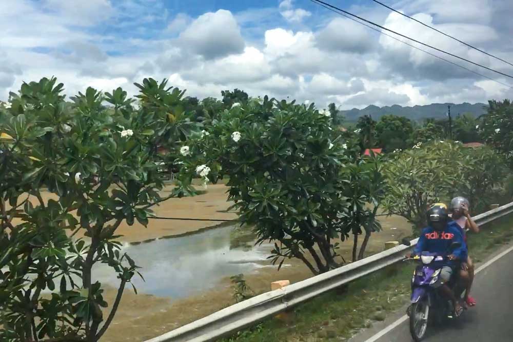 View of mountains, houses, flowers, and a passing motorbike from the window of my bus from Cebu to Maya Port.