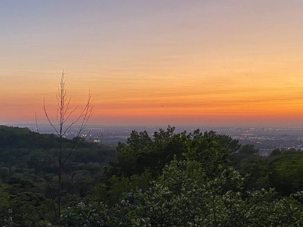 A distant plane landing at Montréal Trudeau airport (seen from the Sunset Lookout on Mount Royal).