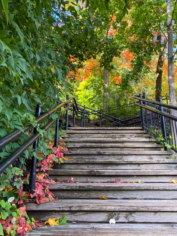 Early autumn colors (mostly green with splashes of red and orange) on the Trafalgar Stairs leading up to the Parc du Mont-Royal.
