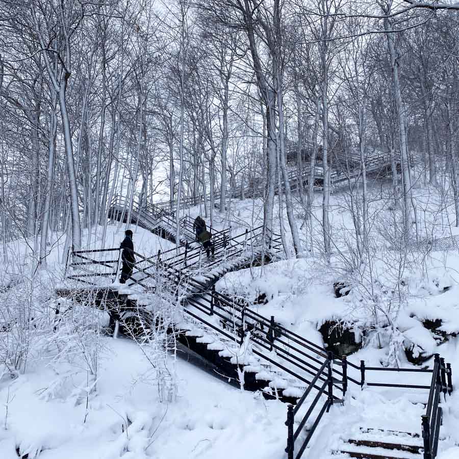 Winter scene with the Grand Staircase of Montreal covered in snow.