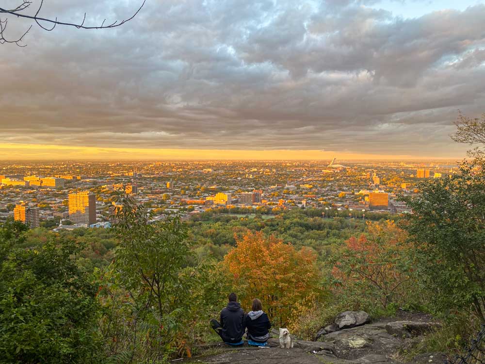 Two people and their dog seated on the ground at a viewpoint on Mount Royal's Escarpment Trail looking out over Montreal East and the Olympic Stadium.