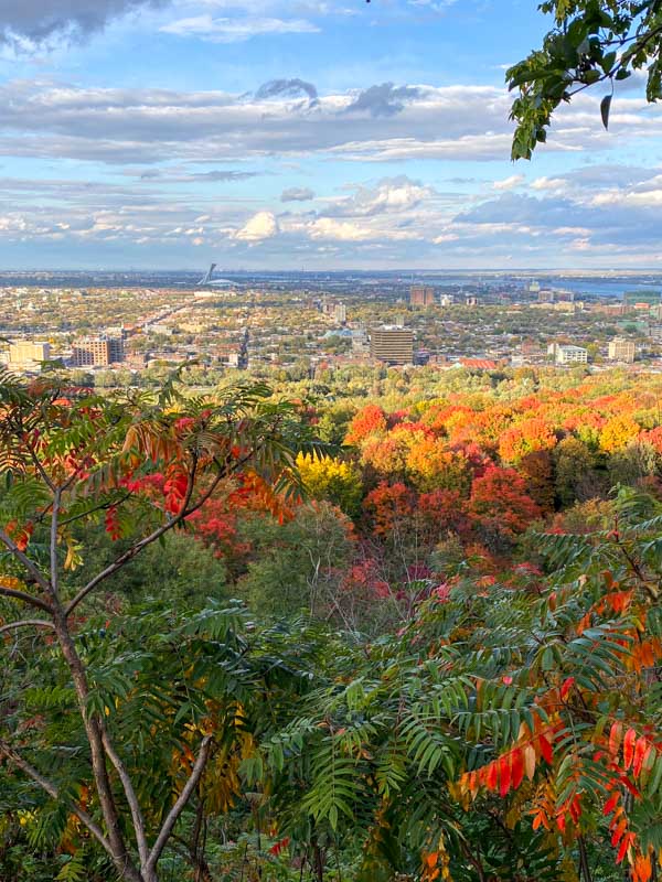 Olympic Stadium and East Montreal viewed from Camillien-Houde lookout point in the fall. 