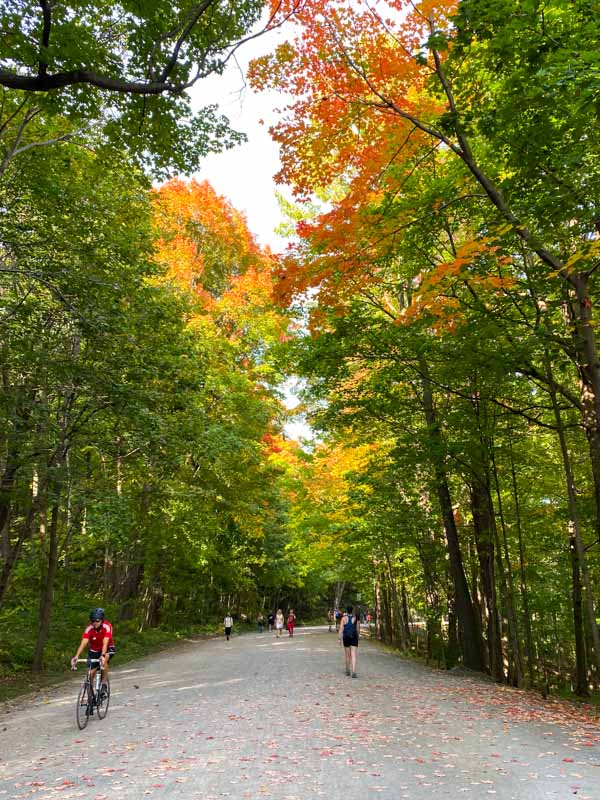 Walkers and cyclists on the Olmsted Trail in early autumn.