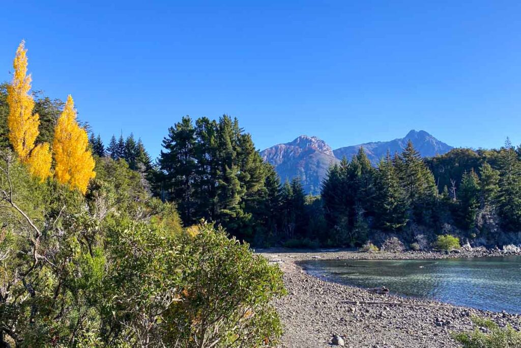 Quiet rocky beach in Tacul Bay with mountains in the background and a few yellow poplars amongst the evergreens.